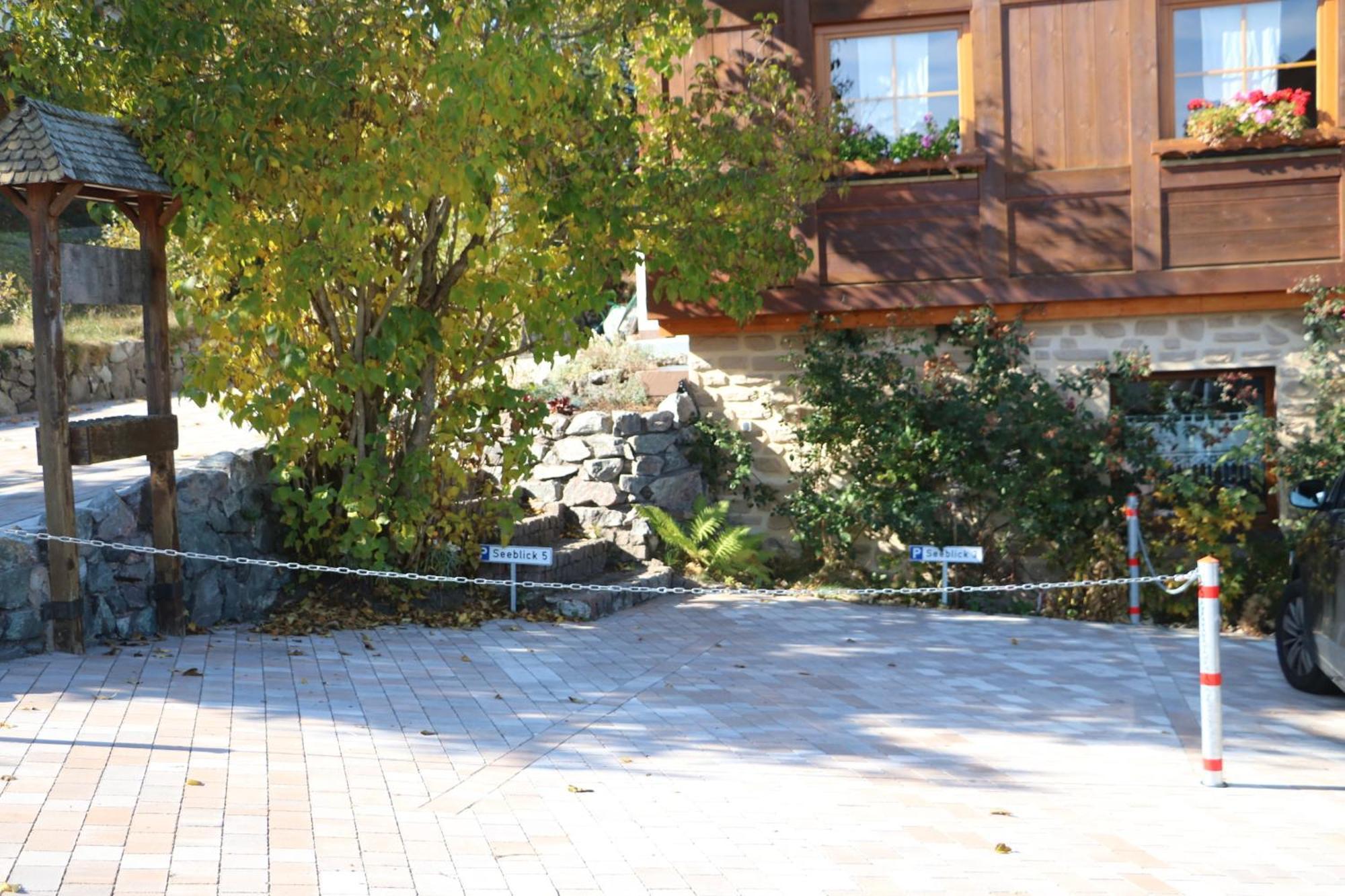 Ferienwohnung Seeblick Nr 3, 2 Zi-Bärental, Feldberg Rotwasser Exterior foto
