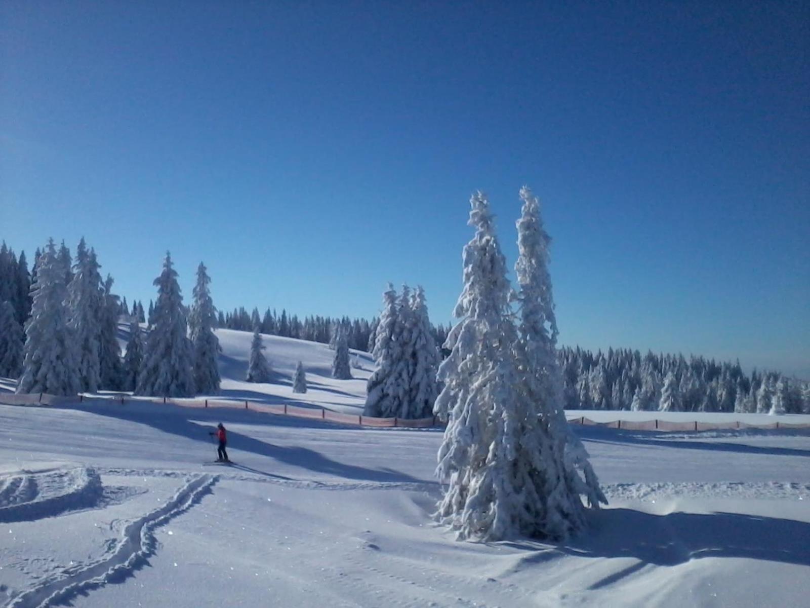 Ferienwohnung Seeblick Nr 3, 2 Zi-Bärental, Feldberg Rotwasser Exterior foto