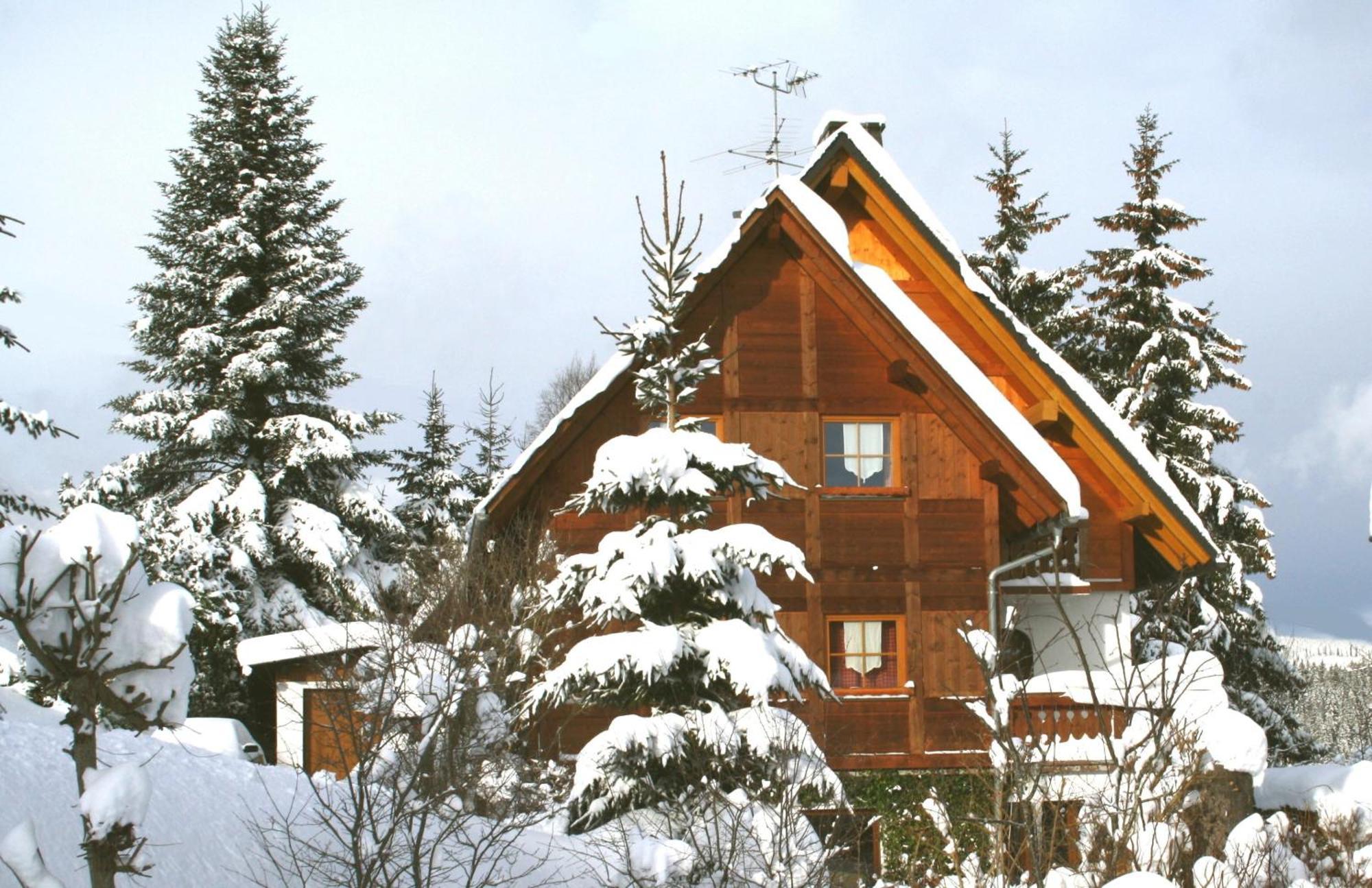 Ferienwohnung Seeblick Nr 3, 2 Zi-Bärental, Feldberg Rotwasser Exterior foto